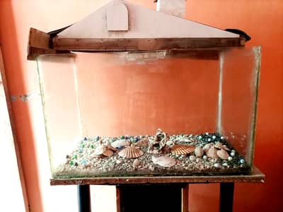 Aquarium for Sale – 2.5 Ft with Trolley