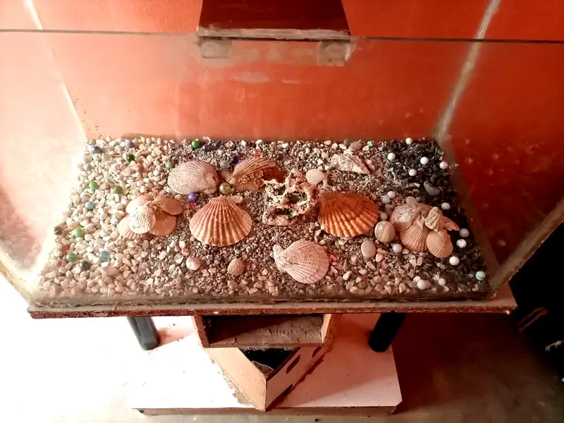 Aquarium for Sale – 2.5 Ft with Trolley — photo 4