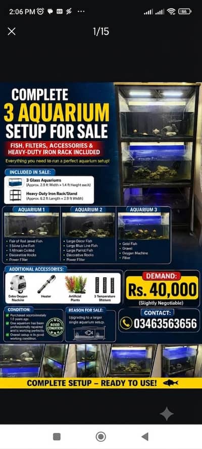 3 Aquarium Complete Setup with Iron Rack, Fish, Filters & Accessories