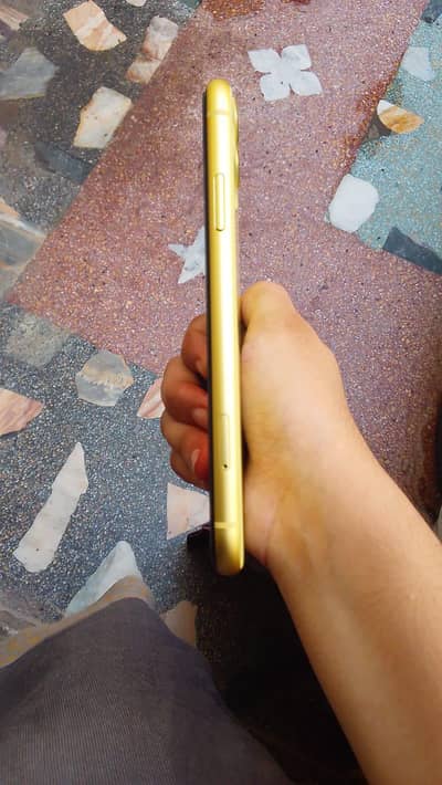 Apple iPhone 11 bypass