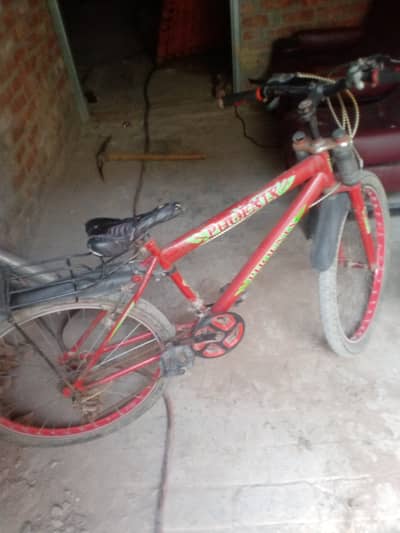 Six Gear bicycle, Phonex brand, 12 months old, Fancy gear changer