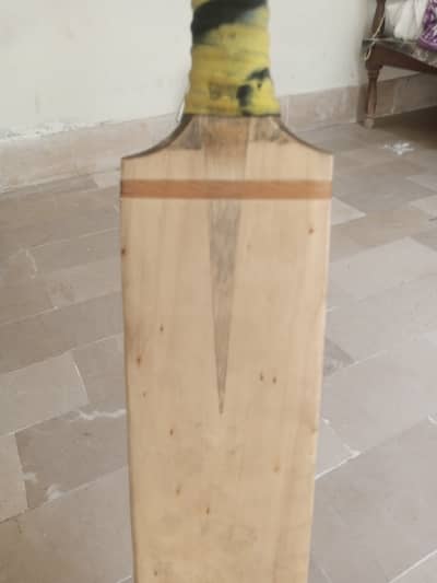 New bat no cracks vip ping