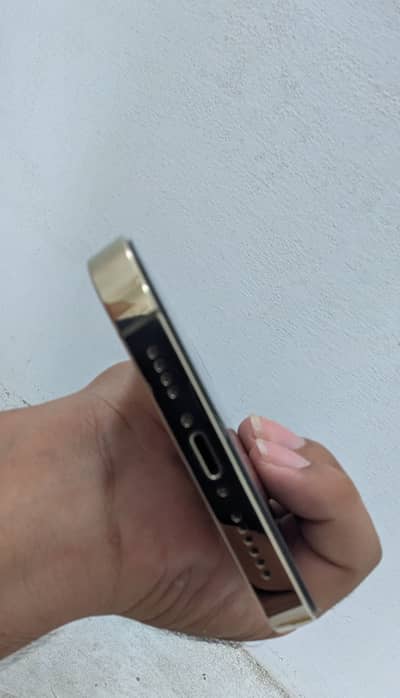 Apple iPhone 12 Pro Max