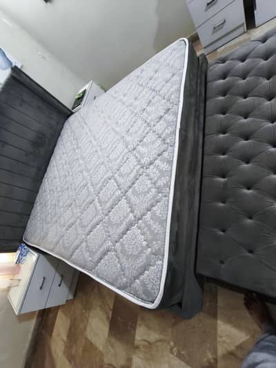 dolce vita supreme Urban collection in excellent like new condition