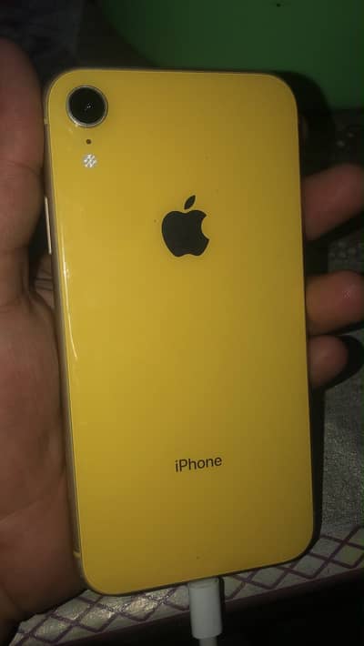 iPhone XR
