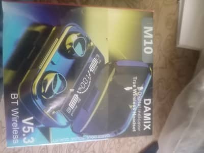 M10 damix