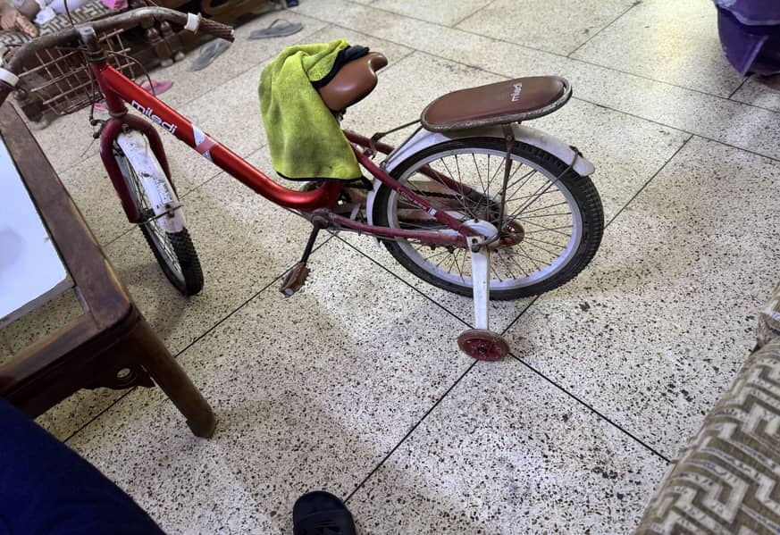 Cycle 0