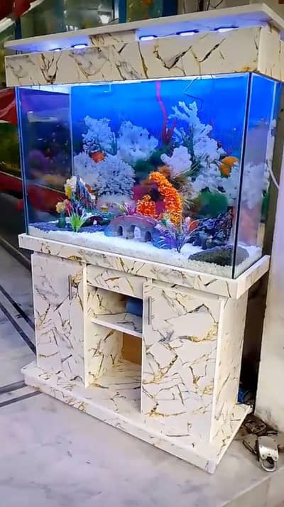 Fish aquarium Munaseeb price 03268301979