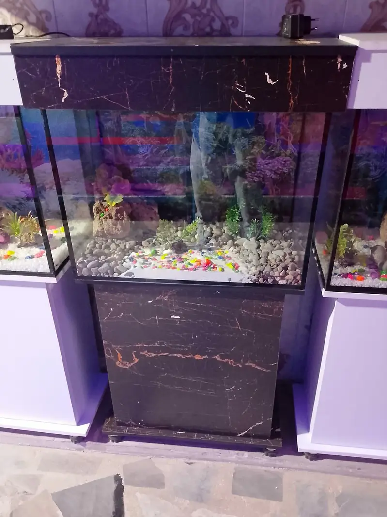 Fish aquarium Munaseeb price 03268301979 — photo 9
