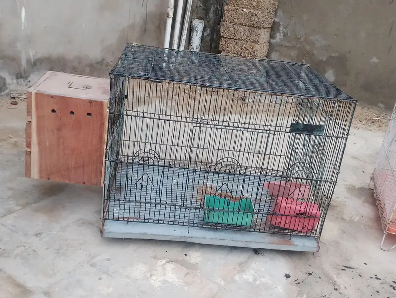 used cage for all small birds — photo 3