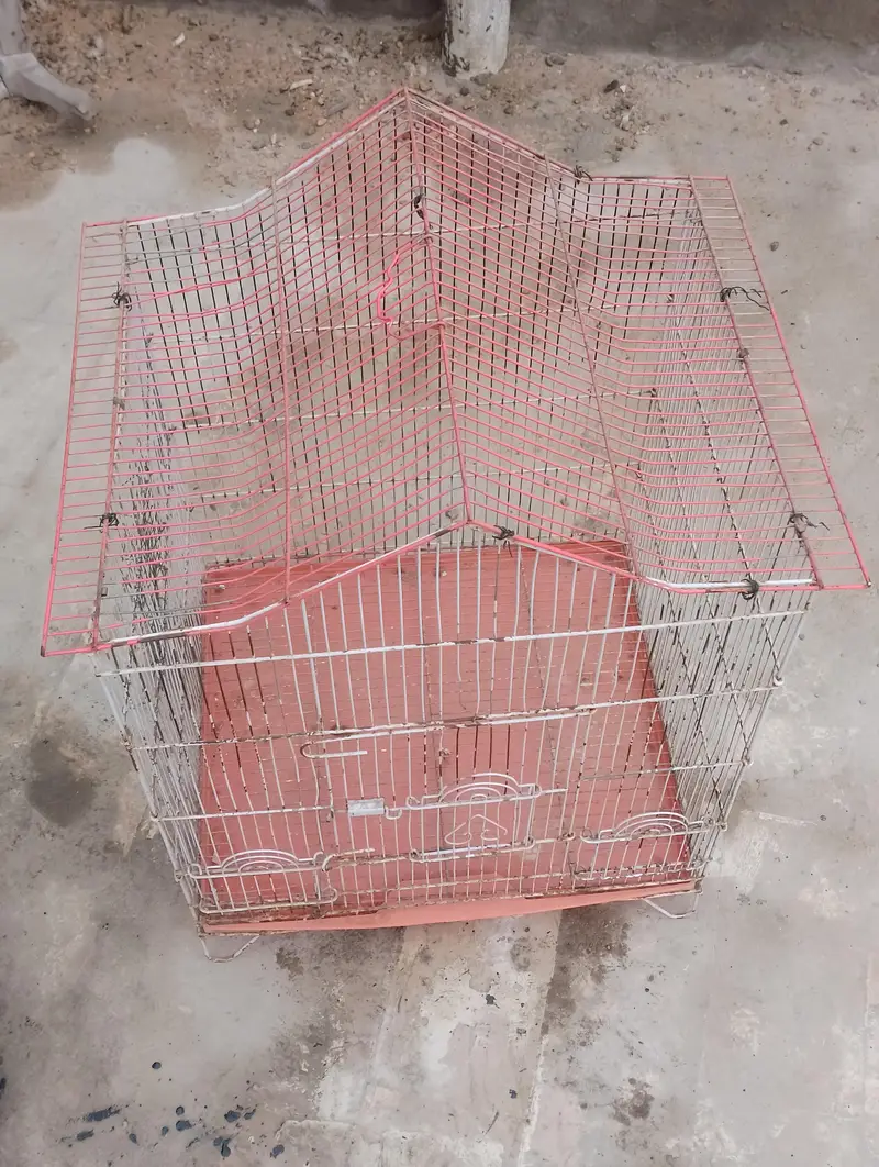 used cage for all small birds — photo 4