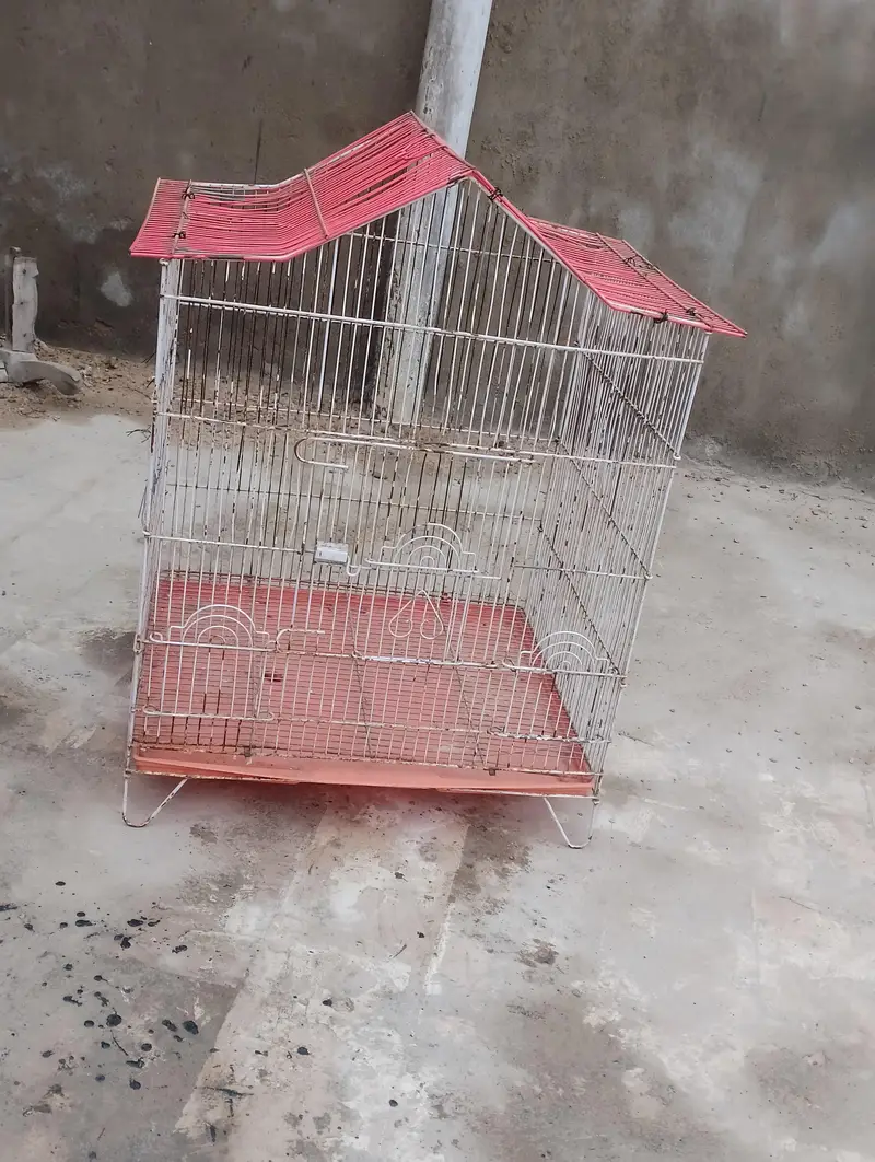 used cage for all small birds — photo 5