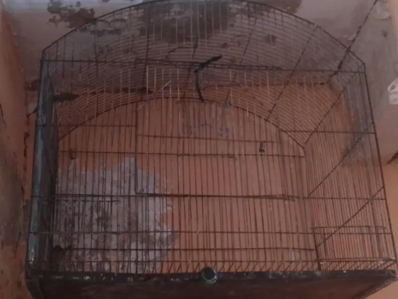 used cage for all small birds — photo 6