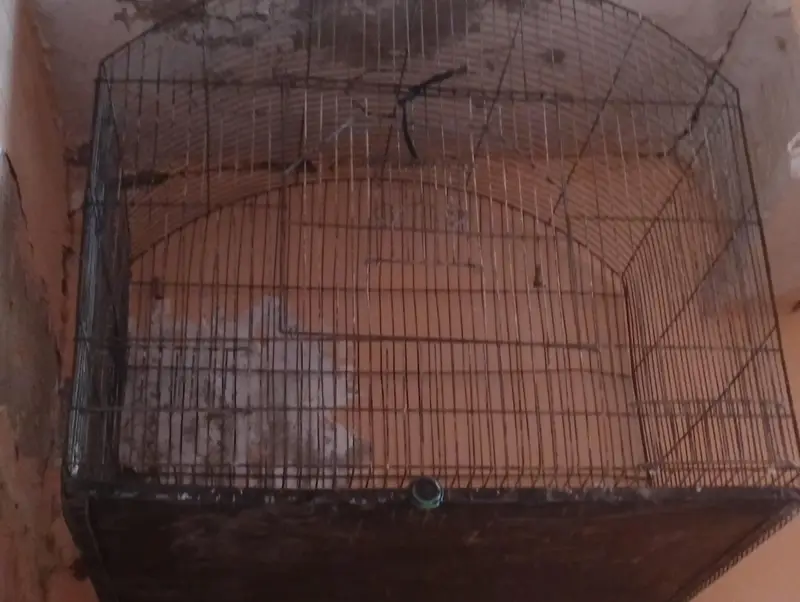 used cage for all small birds — photo 7