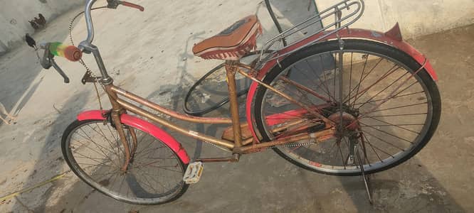 japani cycle