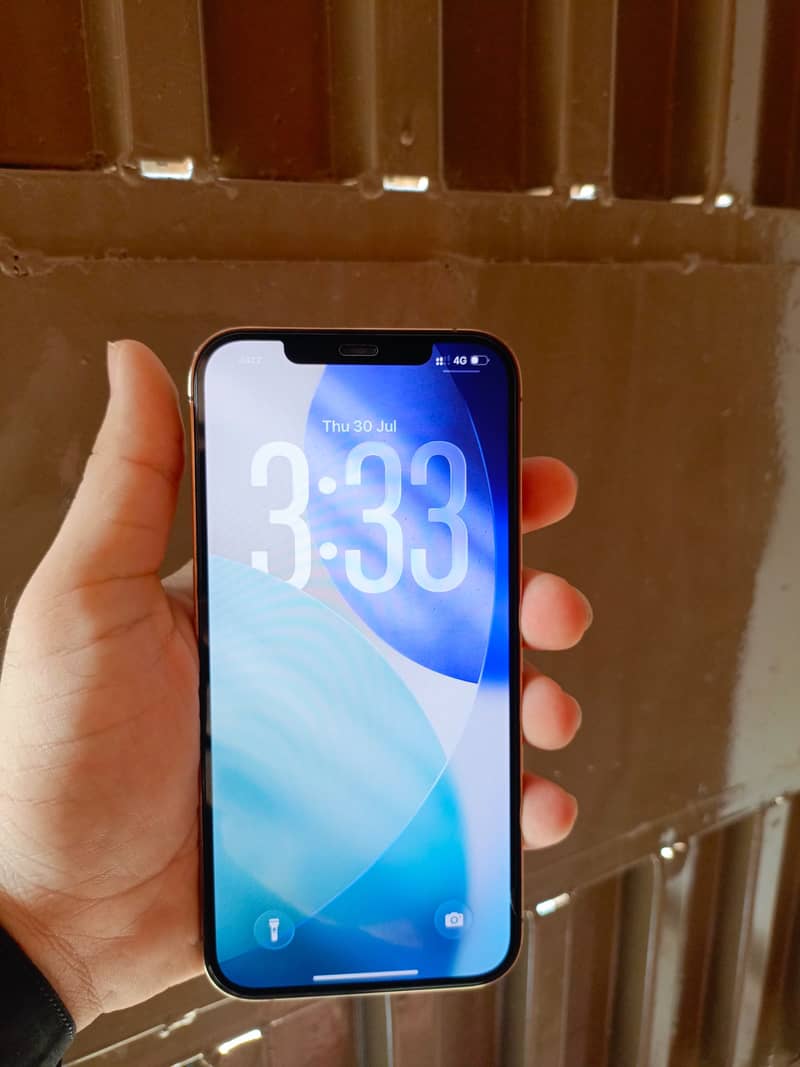 Apple iPhone 12 Pro Max 1