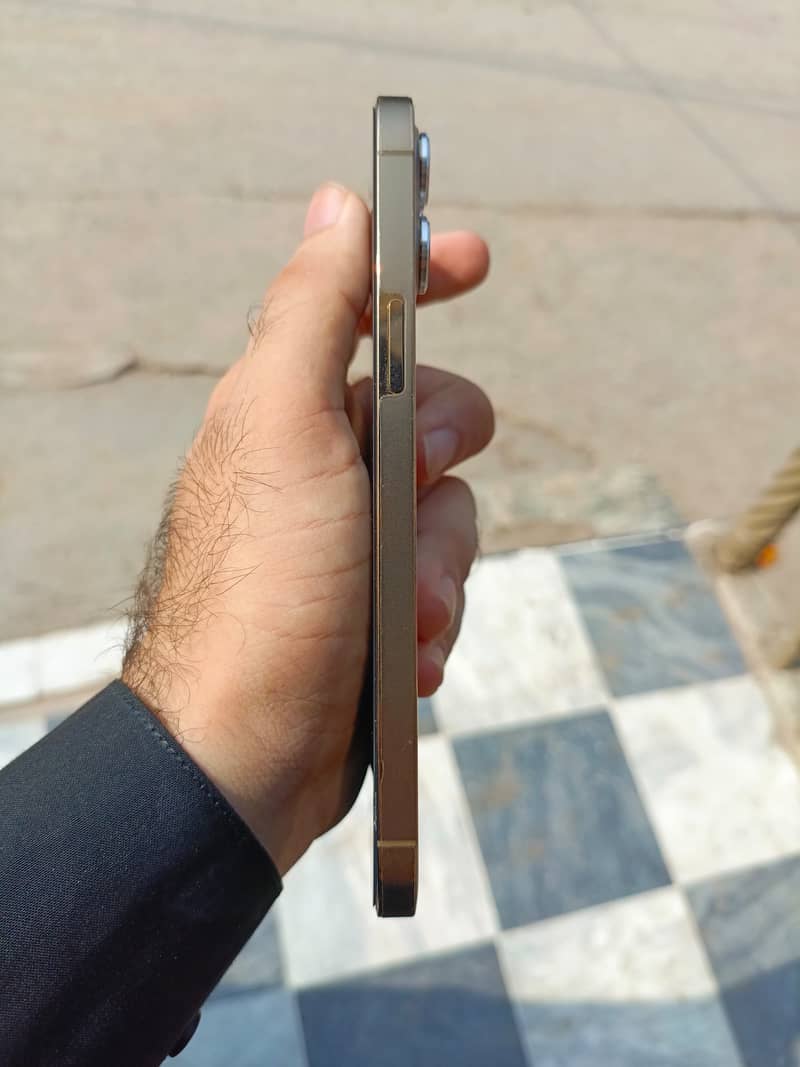 Apple iPhone 12 Pro Max 2