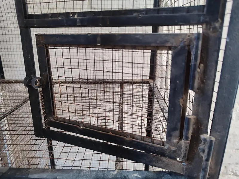 Iron Bird Cage 80kg — photo 2