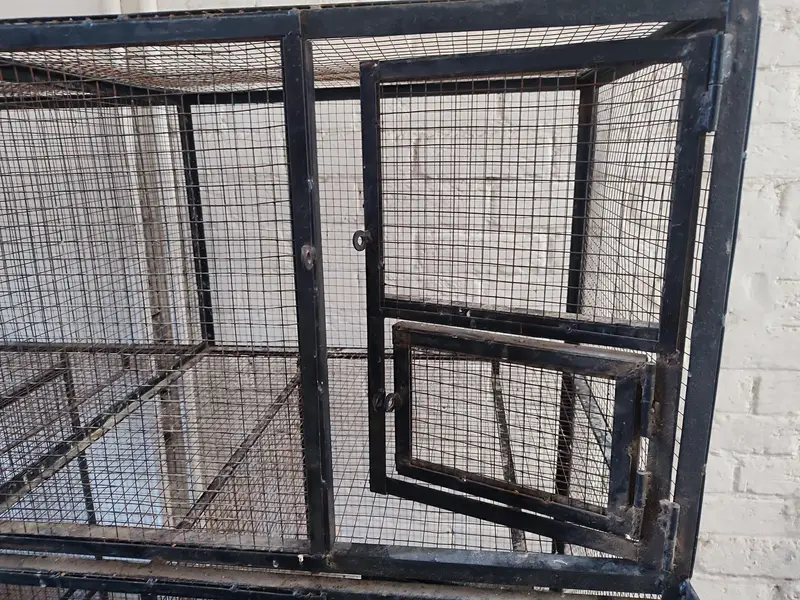 Iron Bird Cage 80kg — photo 3
