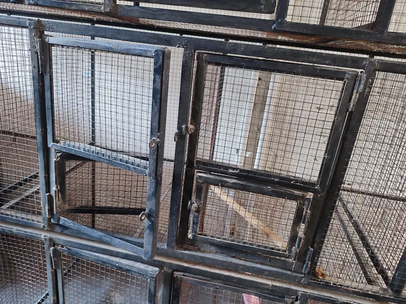 Iron Bird Cage 80kg — photo 4