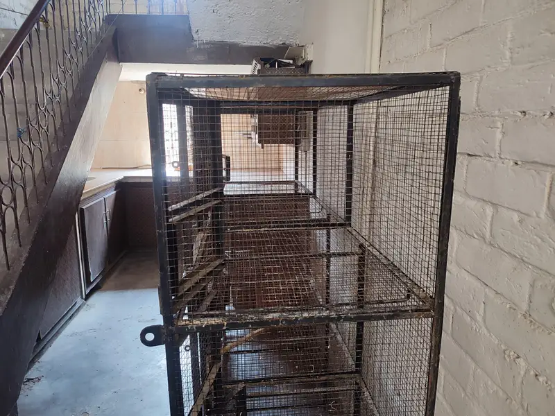 Iron Bird Cage 80kg — photo 6