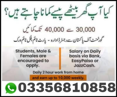Assignemt work/Data entry Job Available11