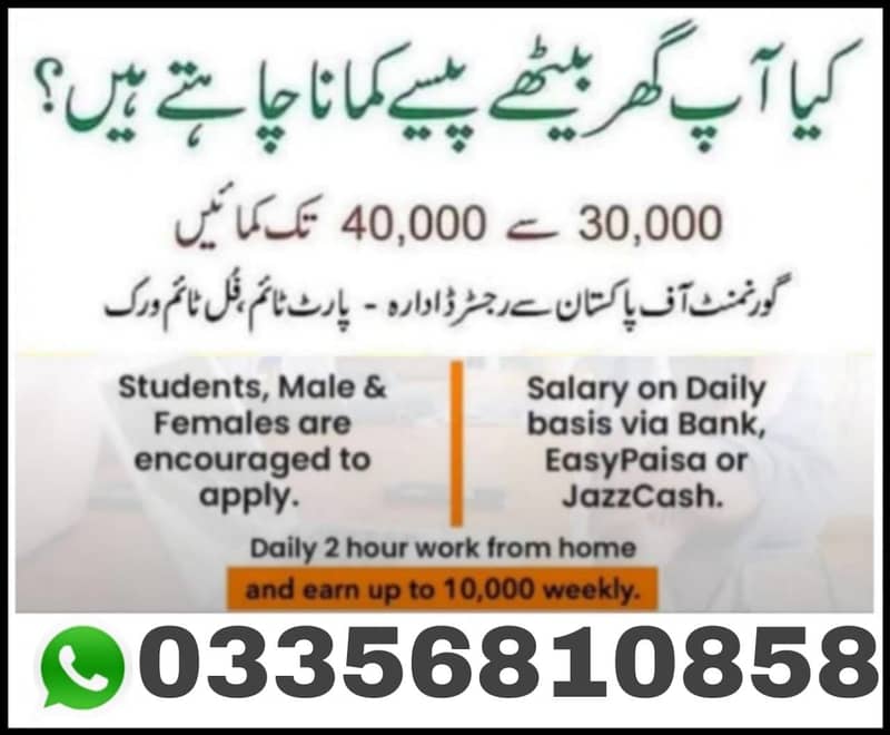 Assignemt work/Data entry Job Available11 0