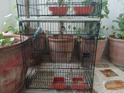 Cage for sell