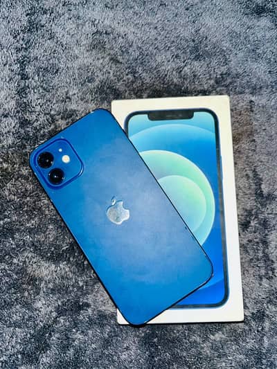 Apple iPhone 12