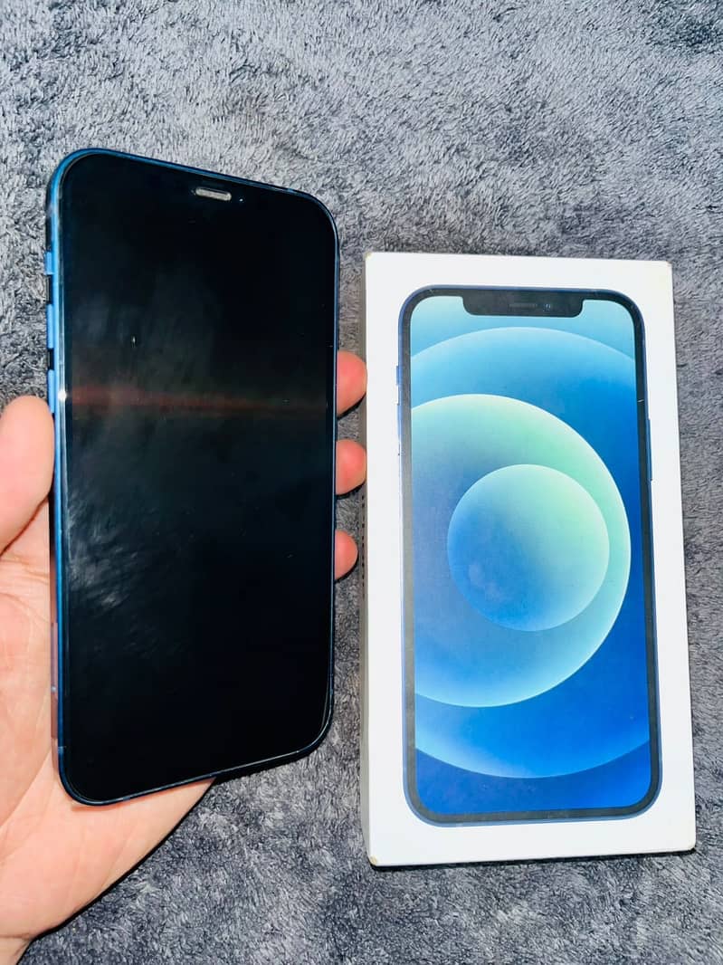 Apple iPhone 12 1