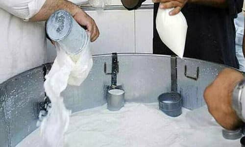 Looking for worker for Milk Shop | 03004903195