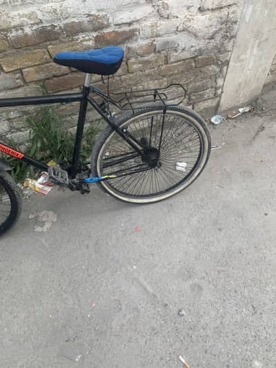 Phonix cycle for sale
