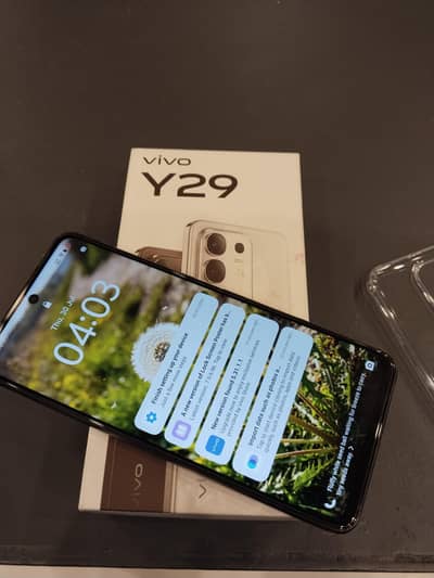 Vivo Y29