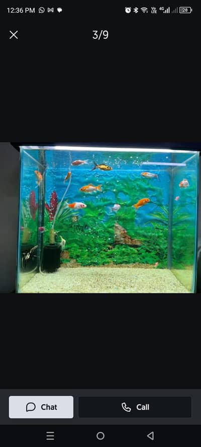 Aquarium 2ft with all accessories