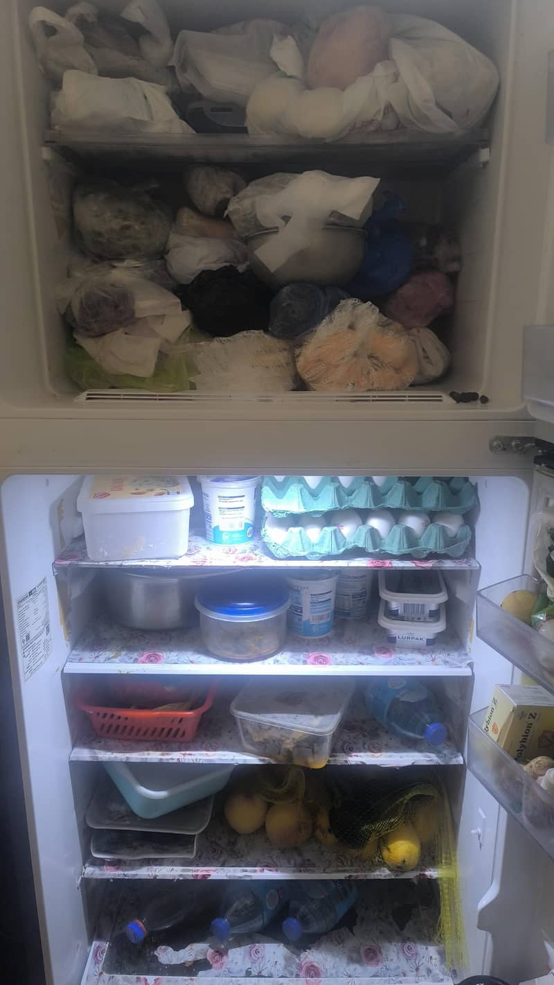 fridge 2
