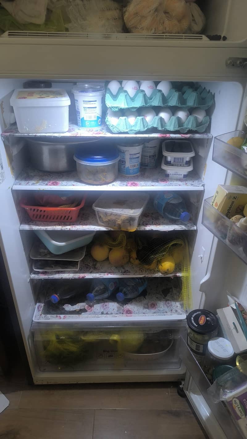 fridge 3