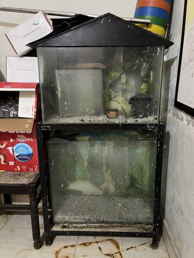 Double portion fish aquarium with heavy angle strand