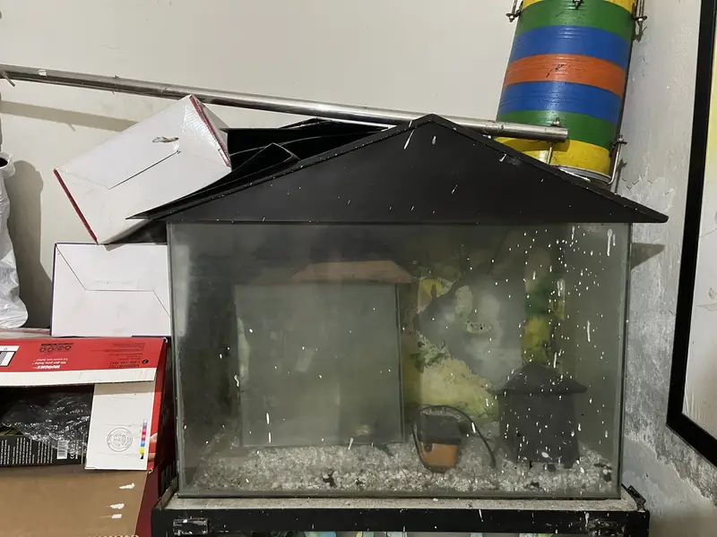 Double portion fish aquarium with heavy angle strand — photo 2