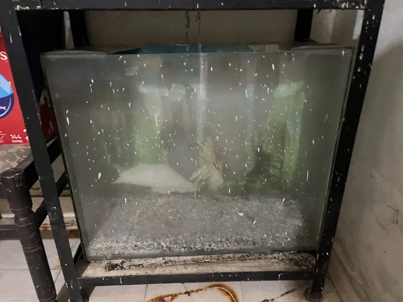 Double portion fish aquarium with heavy angle strand — photo 3