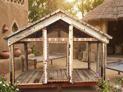 Wooden frame and jali Wala cage for sale