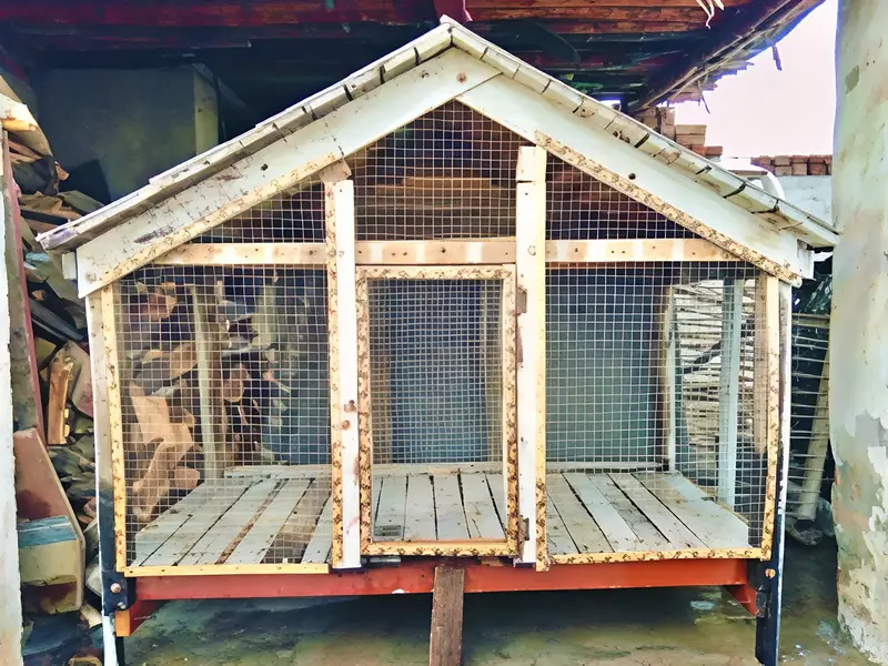 Wooden frame and jali Wala cage for sale — photo 2