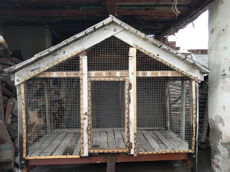 Wooden frame and jali Wala cage for sale — photo 3