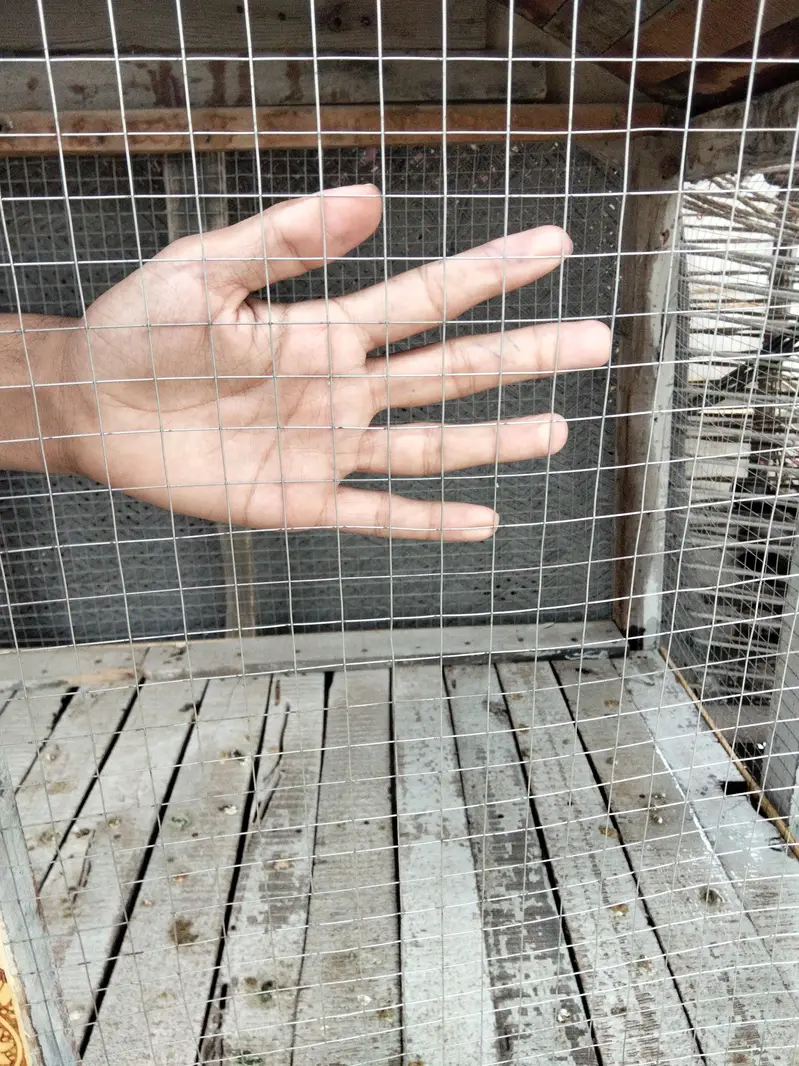 Wooden frame and jali Wala cage for sale — photo 4