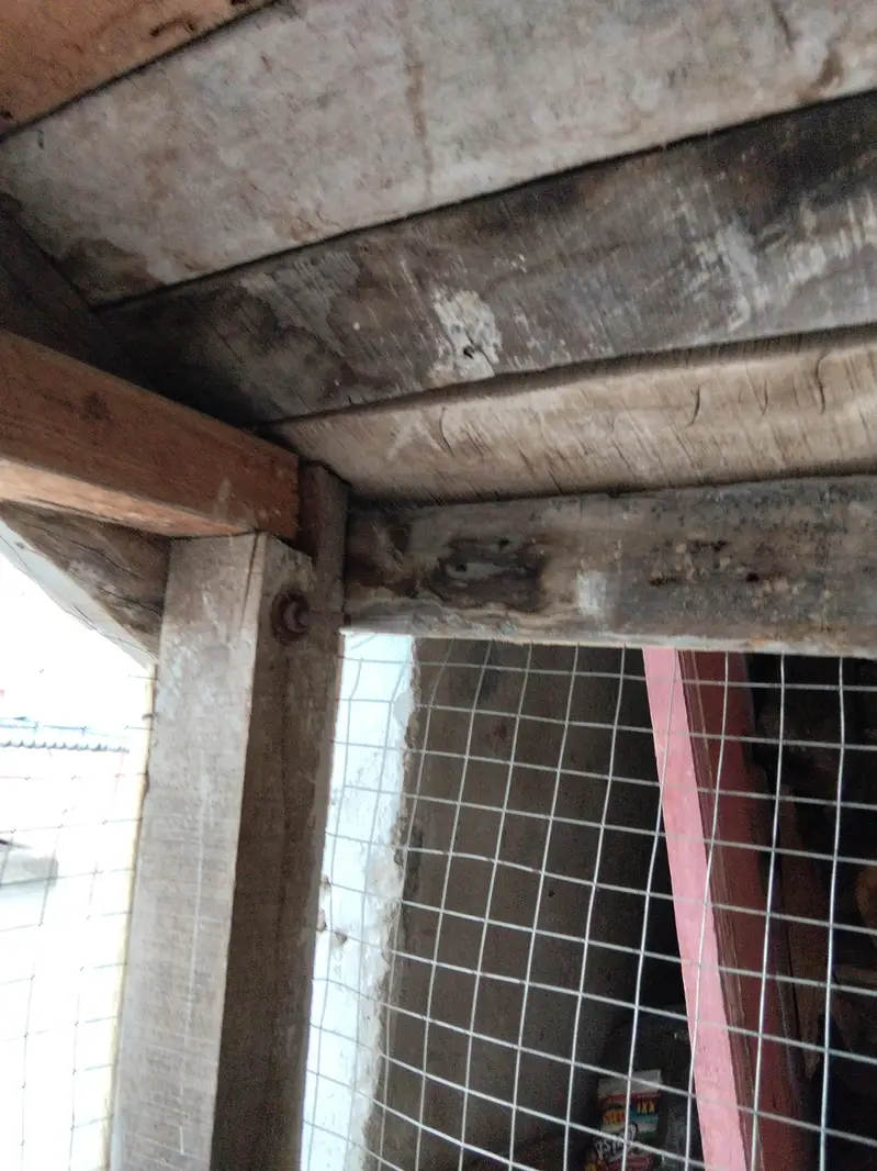 Wooden frame and jali Wala cage for sale — photo 8