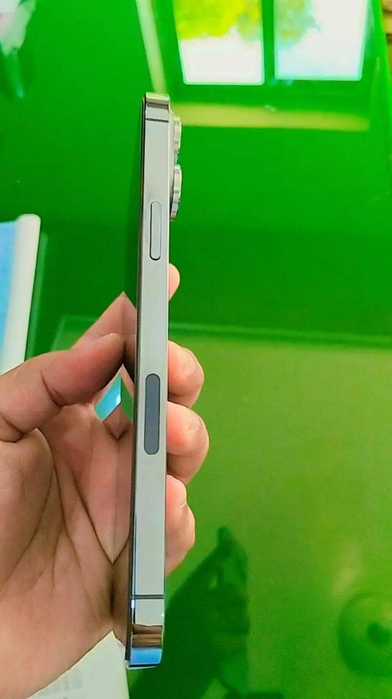 Apple iPhone 13 Pro Max 2