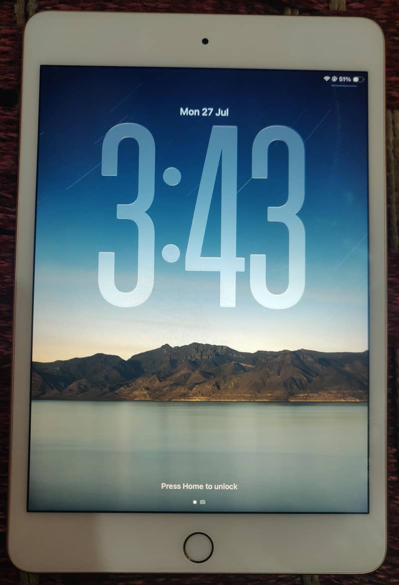 IPAD MINI 5 0