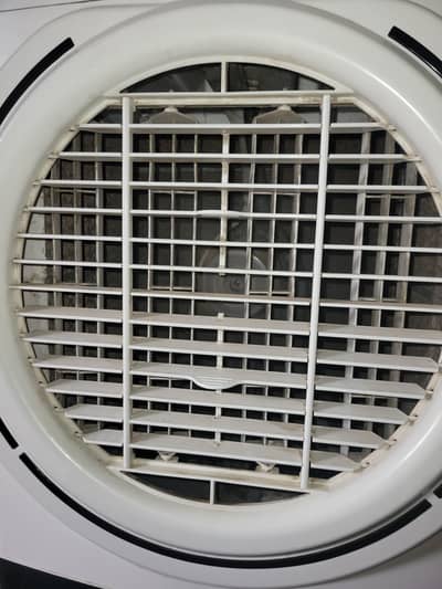 12 Volt Ac/Dc Cooler Super Asia