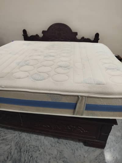Master Celeste Classic spring mattress for sale