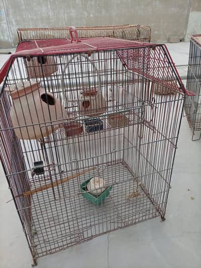 Birds cages 3 cages