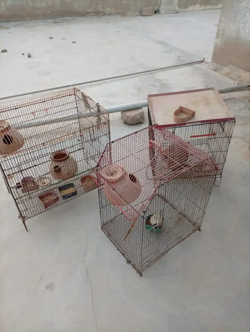 Birds cages 3 cages — photo 2